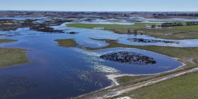 Una de cada cuatro hectáreas de trigo argentino presenta excesos hídricos luego de las lluvias torrenciales