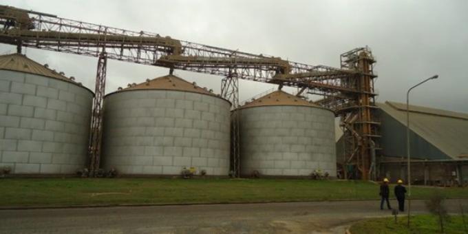 En julio la actividad de la industria aceitera argentina cayó un 9%: Acá te explicamos la causa de ese fenómeno