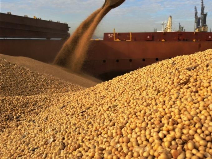 Geopolítica al palo. Volvieron a quedar viejas las estimaciones oficiales de exportación de soja argentina