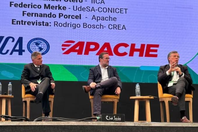 Oportunidades dónde están los mercados más prometedores para hacer negocios, según tres referentes del agro