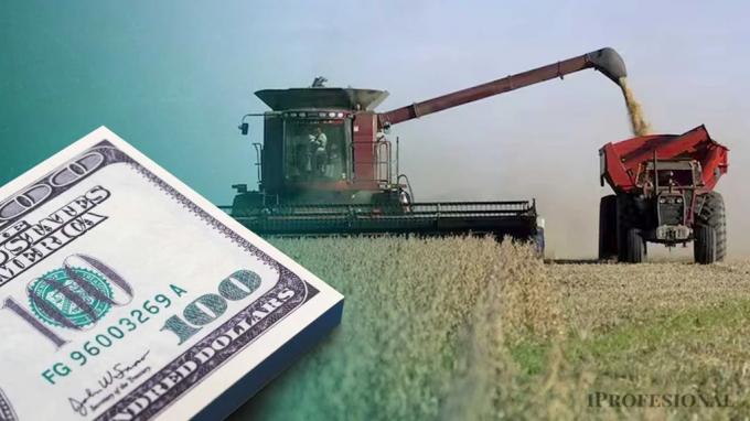 CARBAP cuestiona la baja temporal de retenciones: “El negocio fue solo para exportadores”