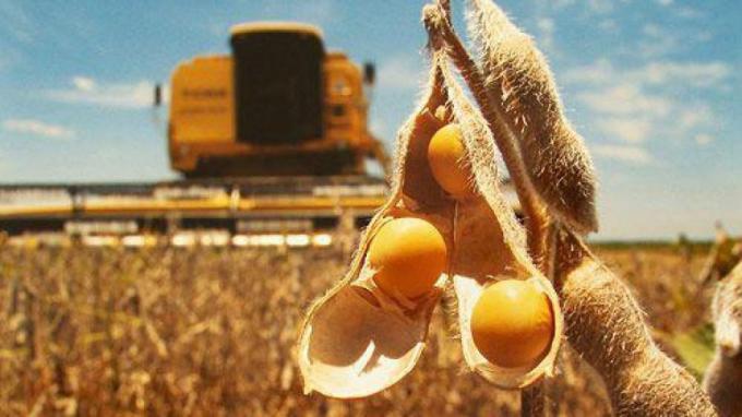Necesitan mercadería la presión de los exportadores y la suba del tipo de cambio aumentaron el precio de la soja disponible
