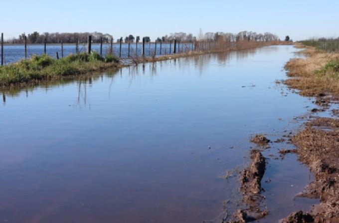 Emergencia agropecuaria en Buenos Aires: el Gobierno oficializó la medida por inundaciones