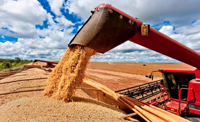 Exportaciones agroindustriales argentinas crecieron 9% en volumen y superaron los USD 33.000 millones en 8 meses