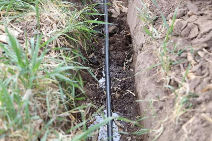 Investigación evaluaron el riego por goteo enterrado con energía solar y el resultado fue sorprendente