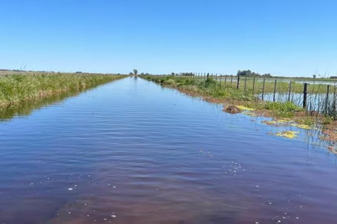 Es una vergüenza. Un municipio propone que los productores arreglen los caminos con su plata