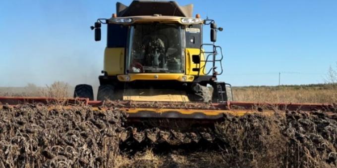 Qué impacto tuvo el régimen de suspensión temporaria de derechos de exportación en los precios del girasol