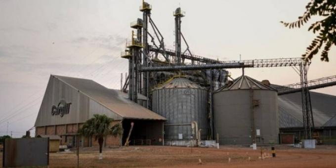 Brasil sigue creciendo en capacidad de procesamiento de soja, mientras que la Argentina se estancó. Por qué será