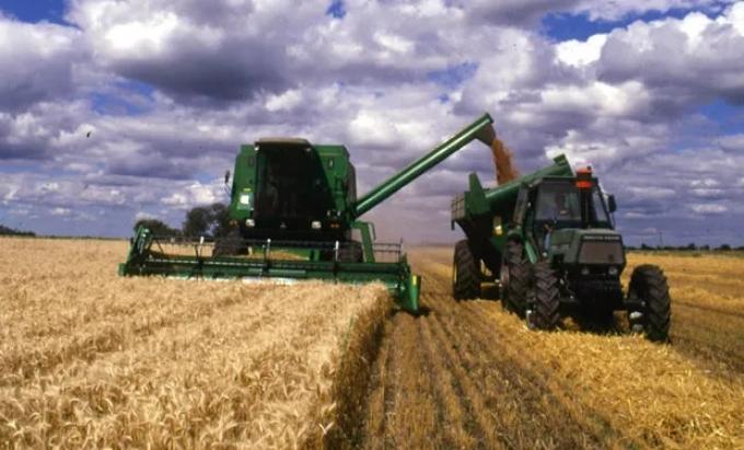 Trigo 2025/26 la cosecha avanza en el norte con rindes récord y alerta por heladas