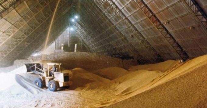 Récord histórico de molienda de soja en septiembre impulsa la comercialización y la demanda externa