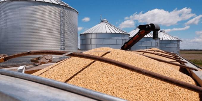 Gesto diplomático China vuelve a comprar soja a EE.UU. en medio de la cumbre entre Xi Jinping y Donald Trump