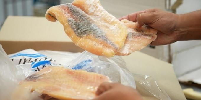 Santa Fe prohibió la exportación de pescados de río por un año para buscar evitar “la depredación” del Paraná
