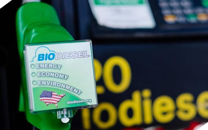 Fuerte suba de los precios de la soja en EE.UU. ante la expectativa de una medida de Trump que impulsará el consumo interno de biodiésel