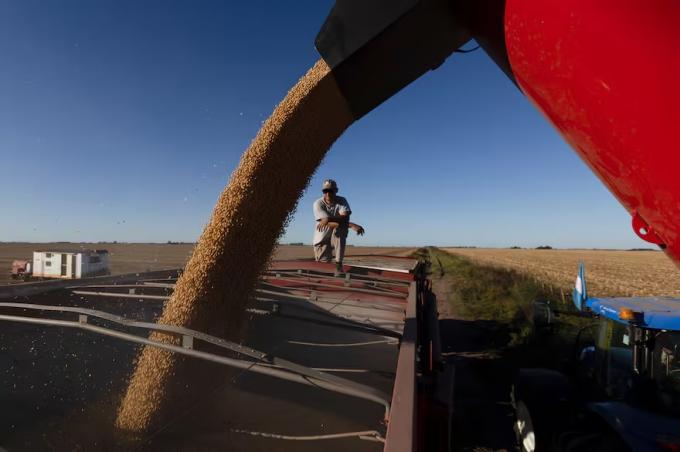 Impacto tras tocar el precio más alto en 16 meses en Chicago, la soja sin vender de la Argentina se valorizó en hasta US$375 millones