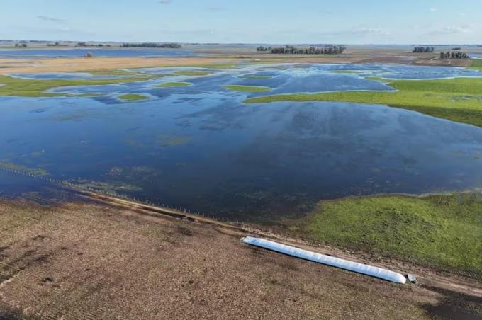 Buenos Aires: en el campo hay quejas porque faltaron obras para controlar las inundaciones