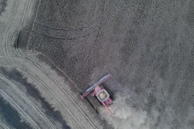 Subió más de US$4 la soja retomó la senda alcista en Chicago en medio de expectativas por China