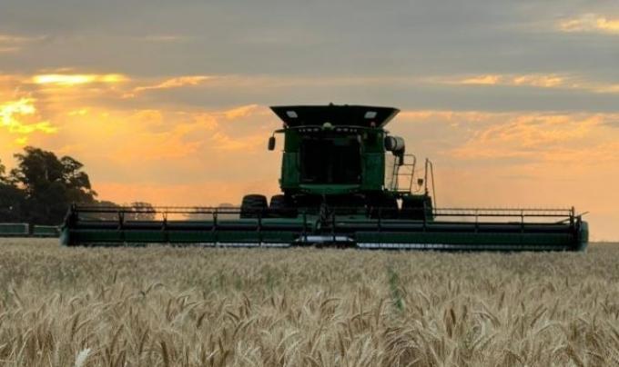 Avanza la cosecha argentina de trigo con rindes tan espectaculares que parecen un regalo de Navidad por adelantado