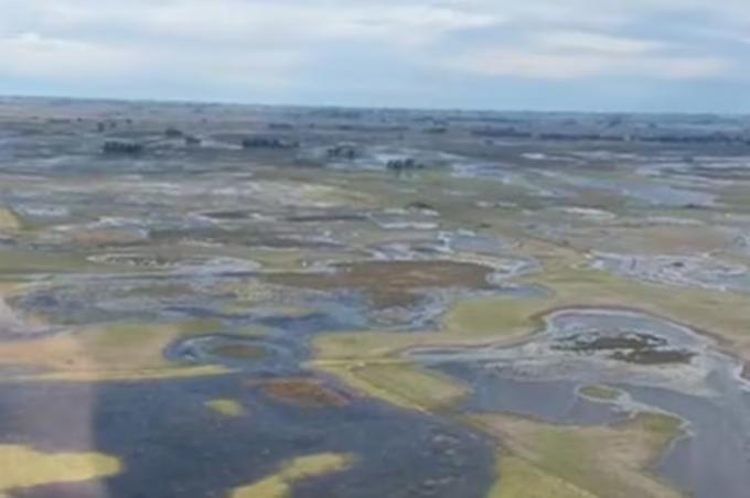 Inundaciones la crisis hídrica impactó en el ritmo nacional de siembra de soja y apareció una sorprendente comparación