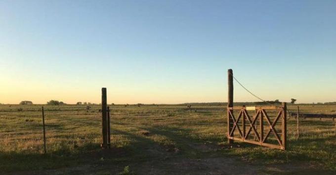 Córdoba sienta precedentes en un sector dominado por los arrendamientos y bonificará impositivamente a los productores que trabajen en campo propio