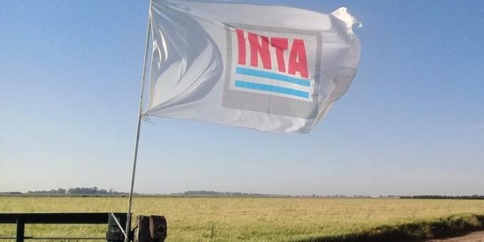 El INTA se reactiva y retoma el plan de ajuste: Tras meses de inactividad, el Consejo Directivo volvió a reunirse y echó mano al proyecto de retiros voluntarios y venta de tierras frustrado en el Congreso