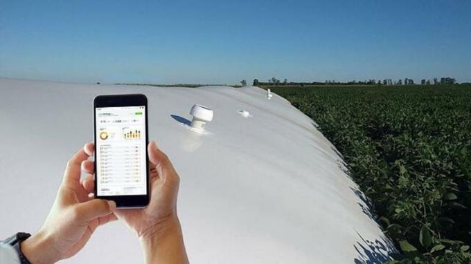 Récord histórico de warrants en Argentina la emisión crece 116% en 2025 y Santa Fe lidera el boom