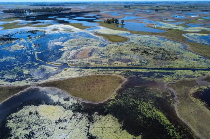 La inundación en Buenos Aires ya es la “más grave en 10 años” hay 5,8 millones de hectáreas afectadas y se perderían US$2000 millones