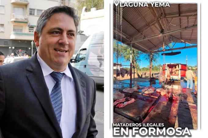 Atentado a la salud pública el senador Paoltroni denunció que en Formosa funcionan mataderos ilegales