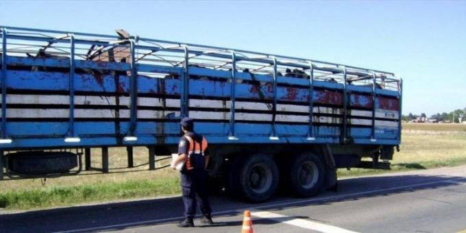 Los matarifes denunciaron un aumento de más del 120% en las guías de traslado de Cañuelas en lo que va del año, que podría trasladarse al precio de la carne