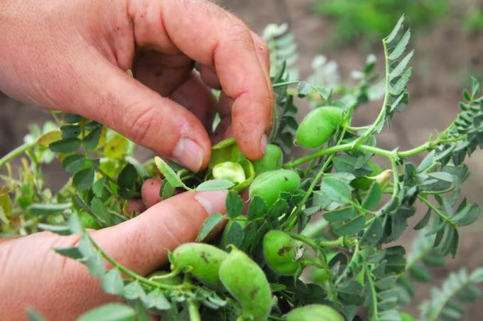 Multas millonarias recrudeció un conflicto entre productores del norte y un organismo oficial