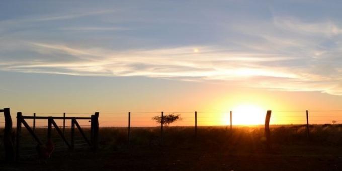 Mejoran las expectativas de los empresarios agropecuarios argentinos según una encuesta realizada por CREA