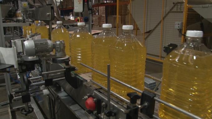 El complejo girasolero consolida su expansión con récord de molienda y crecimiento de las exportaciones.