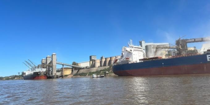 Hasta pronto. Se diluyó el efecto de la suspensión de retenciones en los precios del maíz 2024/25