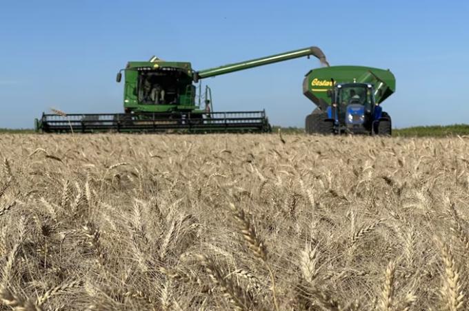 No alcanza en plena cosecha de trigo, la Rural reclamó la eliminación total de las retenciones