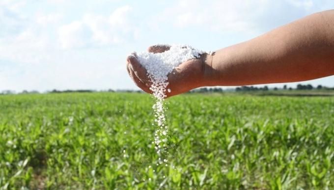 Boom de fertilizantes en Argentina las importaciones crecen 19% y 2025 se encamina a ser uno de los años de mayor consumo de la historia