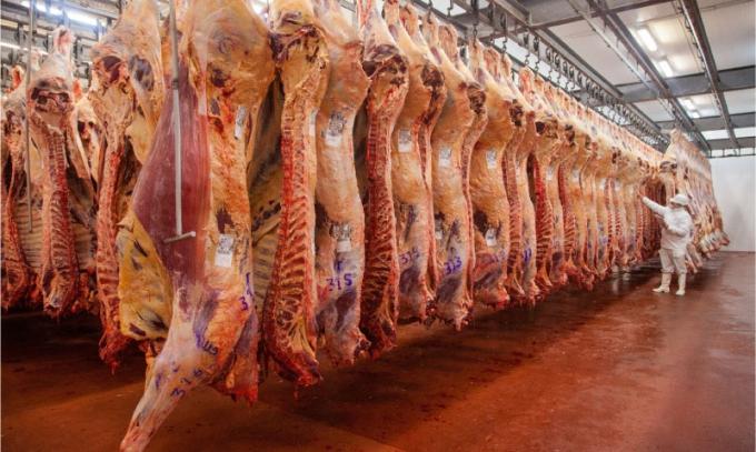 La faena de ganado vacuno mejoró poco más de 2% en octubre