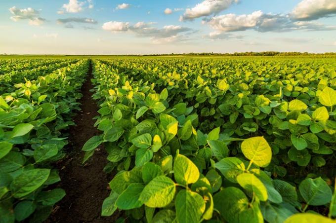 Baja de retenciones en dos años el Gobierno le devolvió al campo US$1950 millones