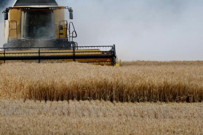 Récord histórico el trigo argentino alcanzaría 27,7 Mt y marca la mayor producción en 25 campañas
