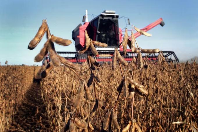 Momento clave lo que viene para los precios internacionales de los granos