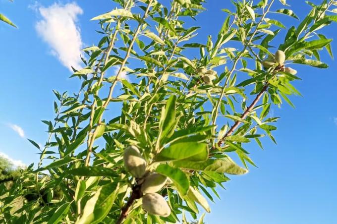 Cambiar el paradigma un novedoso proyecto busca transformar una región productiva difícil y que no haya más frustración