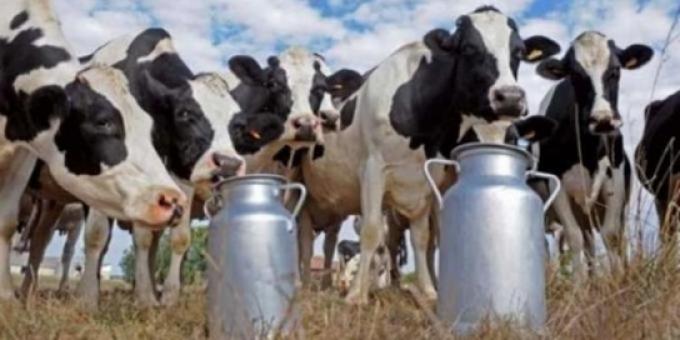 La lechería se recuperó en 2025, pero hay señales de alerta para 2026