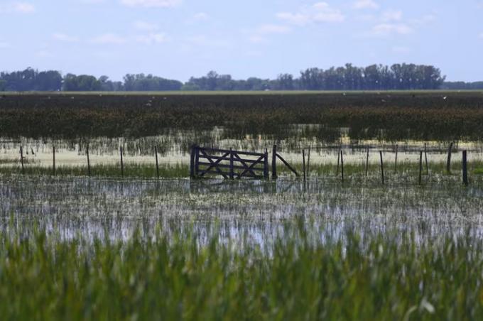 Inundaciones bonaerenses bajó el agua, pero se sembró apenas hasta el 40% del área y hay una menor actividad comercial en las ciudades