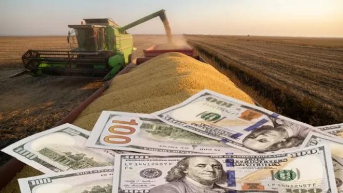 La liquidación del agro creció 25 % en 2025 y superó los US$31.300 millones