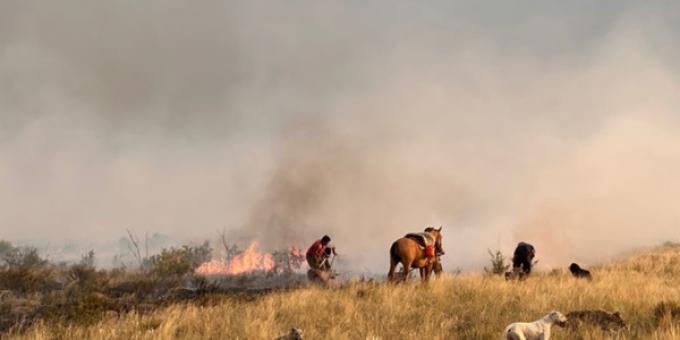 Lo que el fuego se llevó. El impacto productivo empieza a dimensionarse en el oeste pampeano, contado por quienes pelearon con pala en mano durante noches enteras