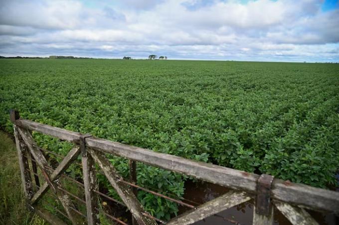 Un balance positivo del 2025 y un 2026 promisorio