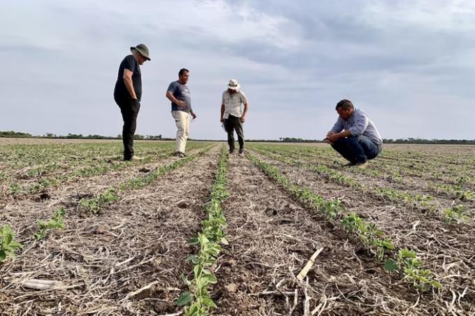 Empresas familiares rurales cómo hacer para trascender y no abandonar
