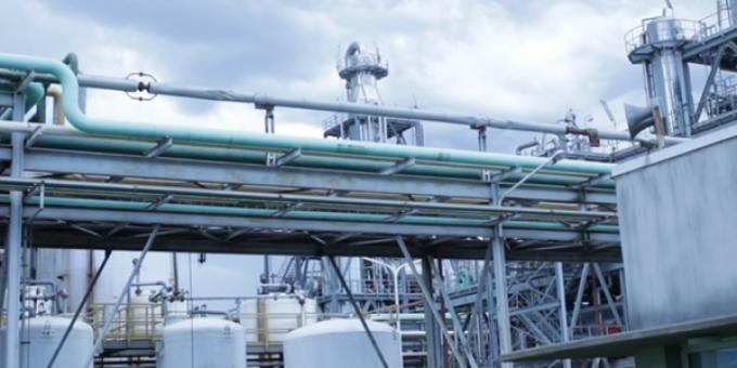 La consolidación del aceite de soja como activo bioenergético contribuye a sostener la competitividad del negocio oleaginoso