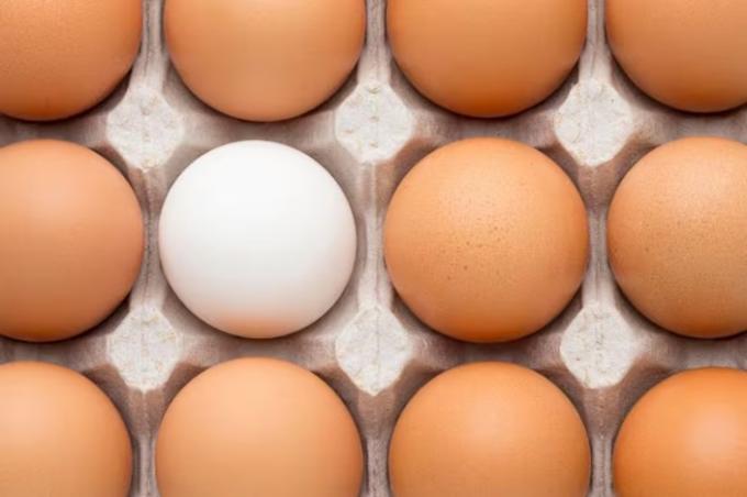 Un año récord terminó con una señal de alerta para el negocio del huevo