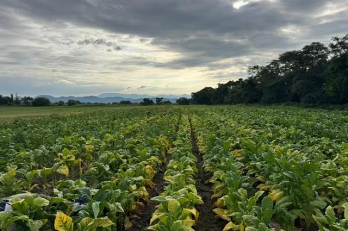 Fue como si se hubiese roto una represa el duro relato de un productor que salvó su vida por poco en una feroz tormenta en Salta
