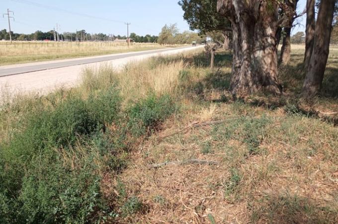 Atentado le cortaron el alambrado de un campo donde había más de 100 vacas y denunció un acto intencional