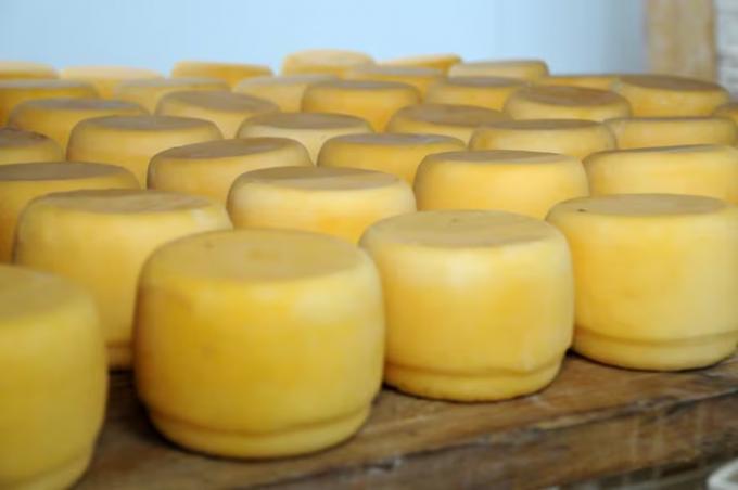 El curioso motivo por el que varios quesos tendrán que cambiar de nombre por el acuerdo Mercosur-Unión Europea